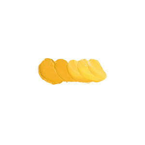 zxCGU H045 p[}lgCG[fC[v@p