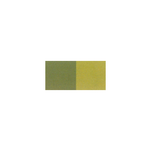 zxCGU H089 e[xgIyCN@p