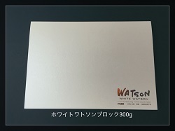 zCgg\ubN 300g F2 HW-302